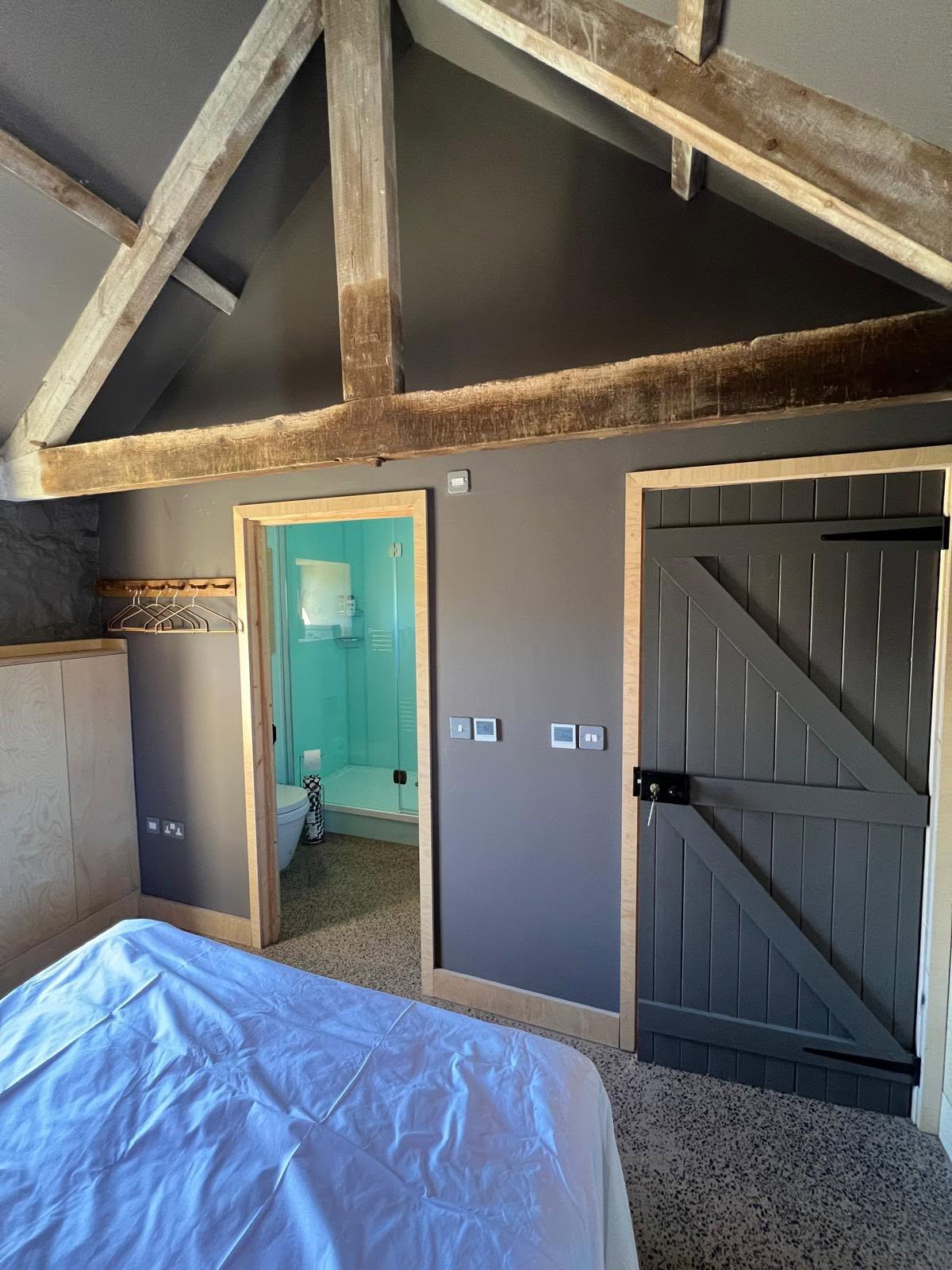 Bedroom with charcoal plaster over ply, exposed rough-hewn trusses, Z-plank barn door and en-suite