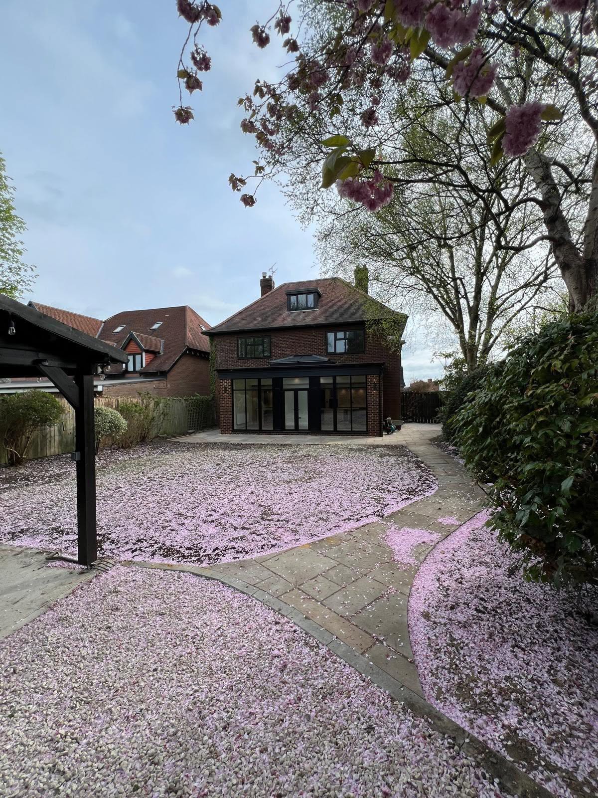 Red brick house with glass extension and stone paths under fallen blossom